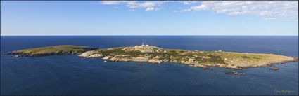 Montague Island - NSW (PBH4 00 9635)